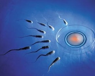 什么是三代试管黄体期长方案？