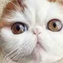 南昌妇幼保健院能做三代试管婴儿吗？成功率怎么样？