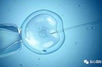 做一次泰国三代试管要多少钱