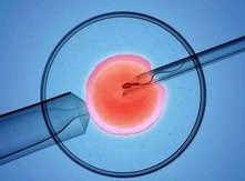 自己去美国做试管婴儿三代靠谱吗？